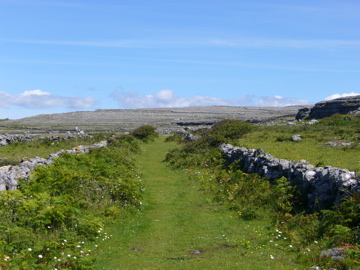 Blackhead Old Road